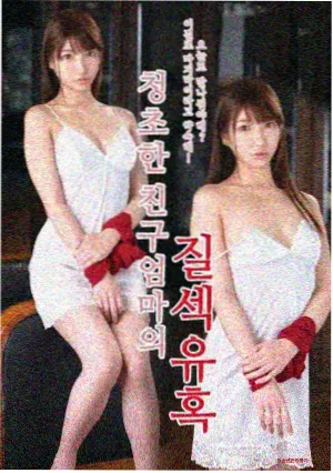 秘密森林3